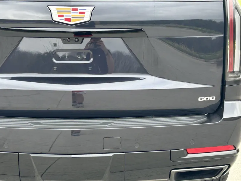 ylp9gce5vk7gzjomk3cqnt4x-image-4